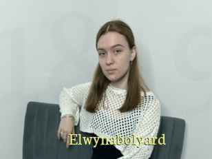 Elwynabolyard
