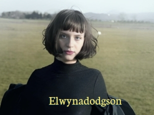 Elwynadodgson