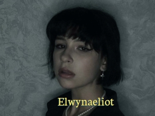 Elwynaeliot