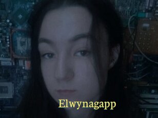 Elwynagapp