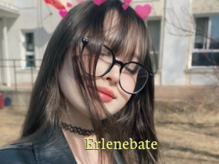 Erlenebate