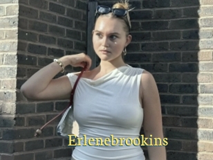 Erlenebrookins