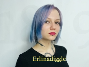 Erlinadiggle