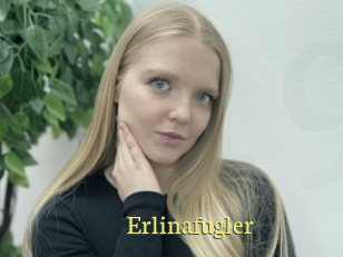 Erlinafugler