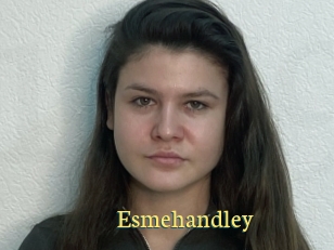 Esmehandley