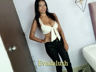 Evadalush