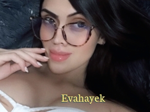 Evahayek