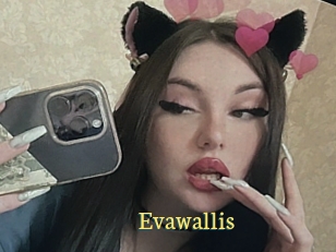 Evawallis