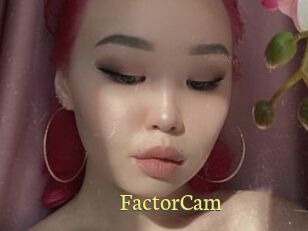 FactorCam