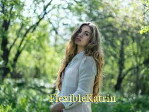FlexibleKatrin