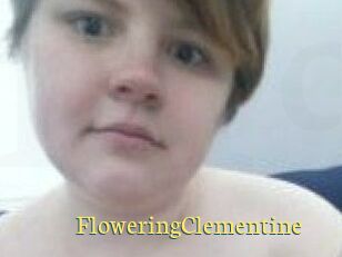 FloweringClementine