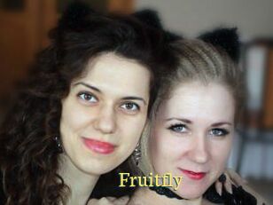 Fruitfly