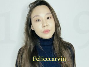 Felicecarvin