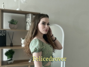 Felicedrover