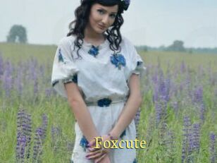 Foxcute