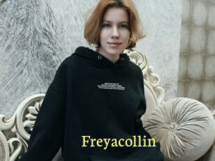 Freyacollin
