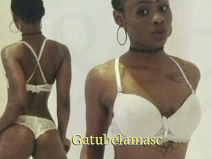Gatubela_masc