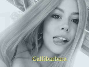 Gallibarbara