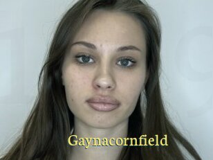 Gaynacornfield