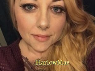Harlow_Mae