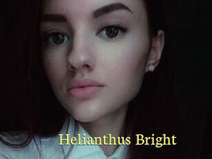 Helianthus_Bright