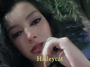Haileycat