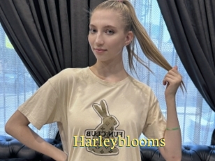 Harleyblooms