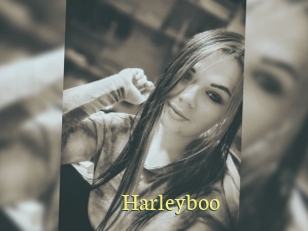 Harleyboo