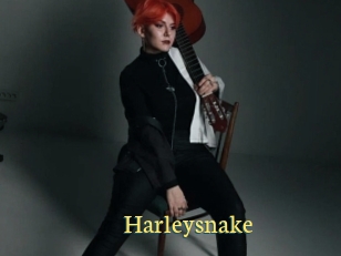 Harleysnake