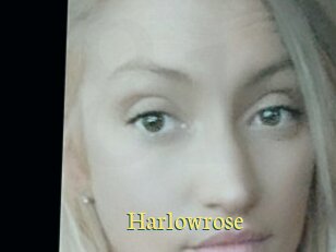 Harlowrose