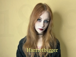 Harrietbigger