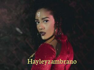 Hayleyzambrano