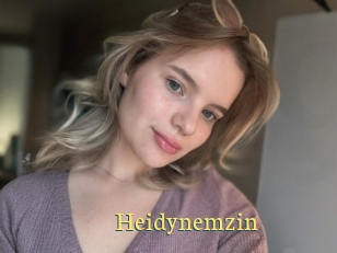 Heidynemzin