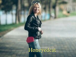 Honeyedcat