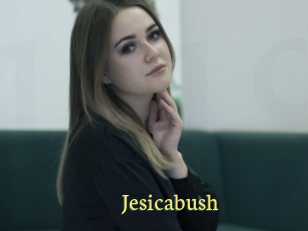 Jesicabush