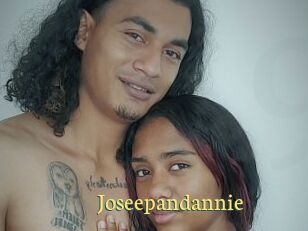 Joseepandannie