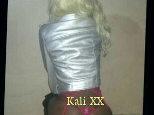 Kali_XX