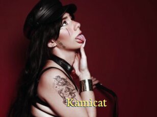Kamicat