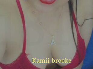 Kamii_brooke