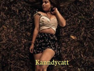 Kanndycatt
