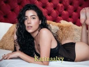 Karinaalvy