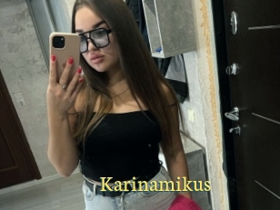 Karinamikus