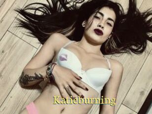 Katieburning