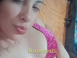 Kattecavalli