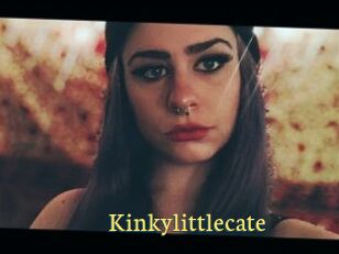 Kinkylittlecate