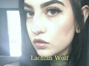Lachlan_Wolf