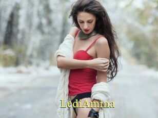 LediAmina