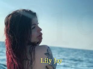 Lily_Jay