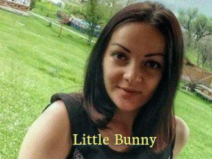 Little_Bunny_