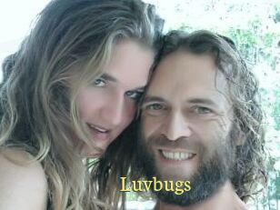 Luvbugs